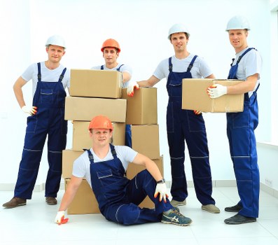 Organized storage units with labeled boxes